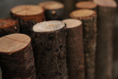 Close-up of wooden logs