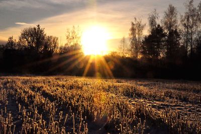 Scenic view of field against sky at sunset