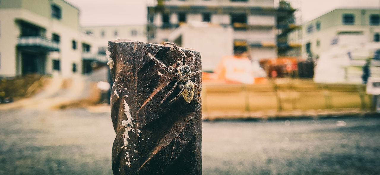 CLOSE-UP OF DAMAGED WOODEN POST ON STREET