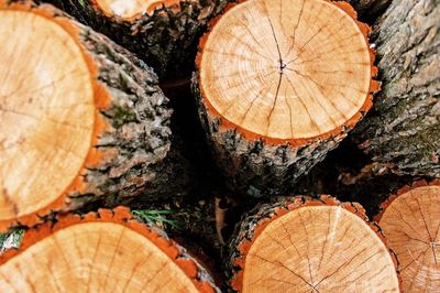 Full frame shot of logs