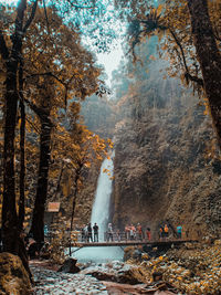 This waterfall located at taman wisata alam situgunung, sukabumi, west java. 