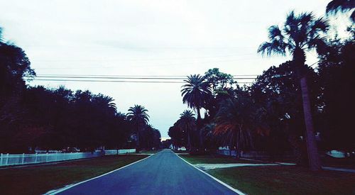 Empty road along trees