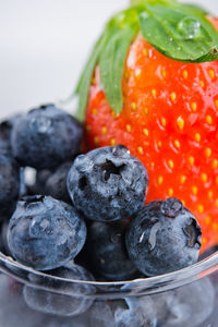 Close-up of fruits in bowl