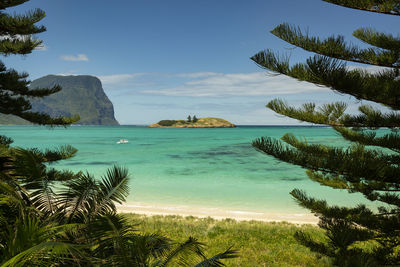 Lord howe island near lovers bay beach with pristine turquoise blue water and beautiful coral reefs