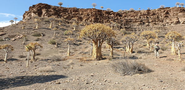 View of desert against sky