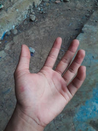 High angle view of human hand holding stone wall