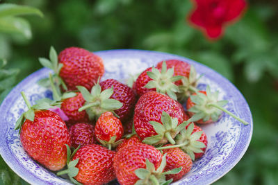 Close-up of strawberries in bowl