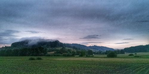 Scenic view of field against sky