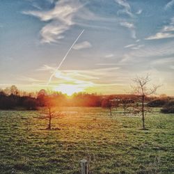 Scenic view of field against sky during sunset