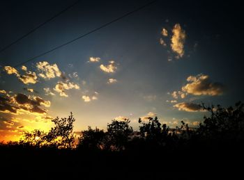 Silhouette of trees at sunset