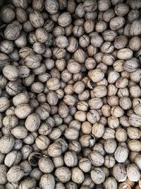 Full frame shot of walnuts 