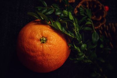 Close-up of orange fruit