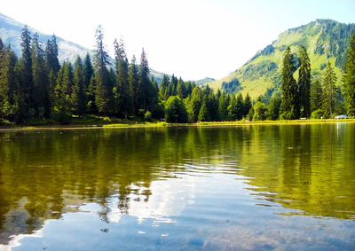 Scenic view of lake by trees against sky