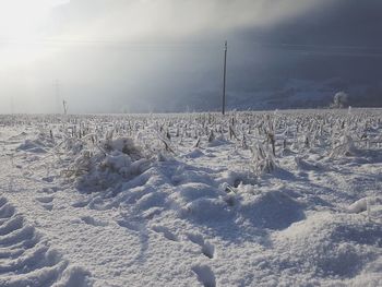 Snow covered field against sky