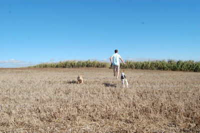 Rear view of man and dogs running on field against clear sky during sunny day