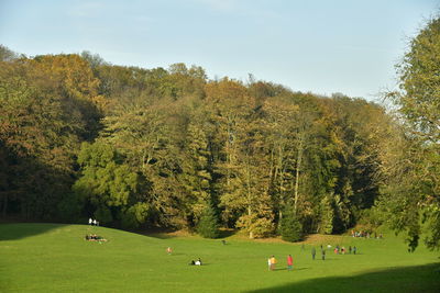 Scenic view of trees on field against sky