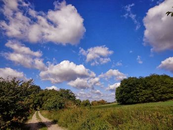 Trees on field against cloudy sky