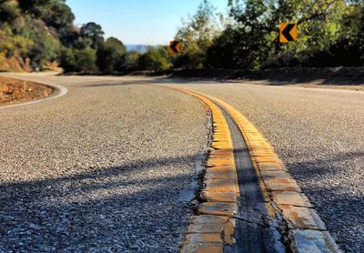 Surface level of road against trees in city