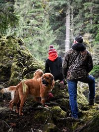 Two dogs with dog on tree