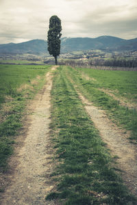 Road amidst field against sky