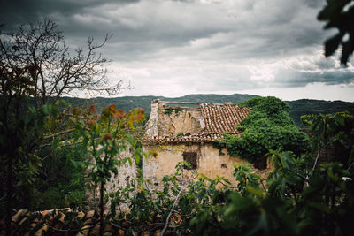 Plants on landscape against sky
