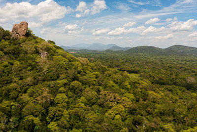 Mountains with green forest and blue sky with clouds. sri lanka.