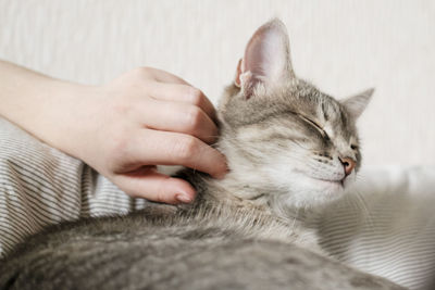 Cat sleeping on hand