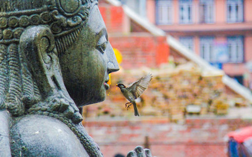 Bird flying by statue