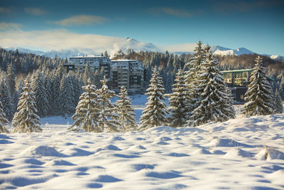 Poiana brasov ski resort