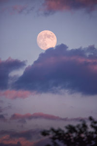 Low angle view of moon in sky at night