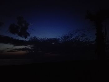 Silhouette trees against sky at night