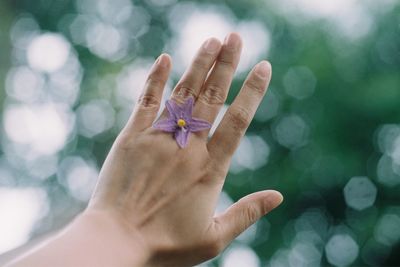 Close-up of hand holding purple flower