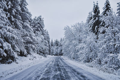 Road amidst trees against sky