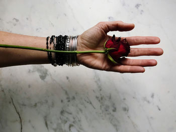 Woman's hand with red rose leaning