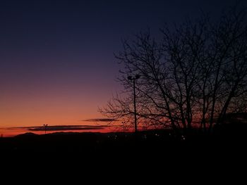 Silhouette of bare trees at sunset