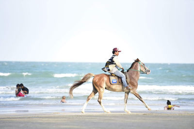 Horse riding horses on beach