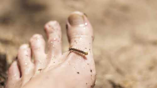 Close-up of human hand on sand