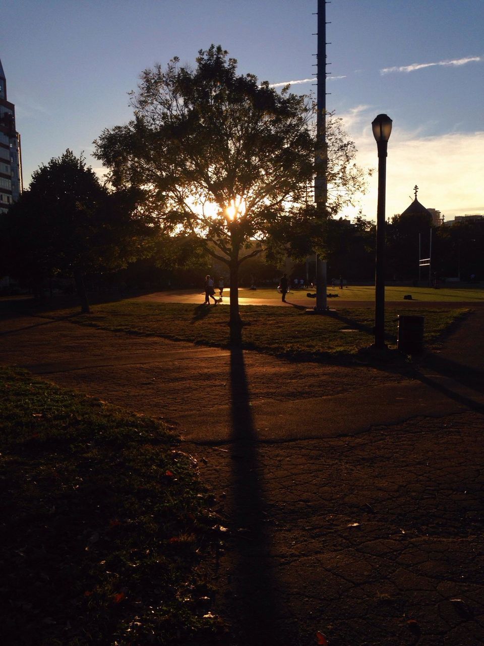 tree, street light, sunset, sky, sunlight, street, silhouette, shadow, road, empty, sun, park - man made space, building exterior, footpath, tranquility, outdoors, nature, built structure, grass, no people