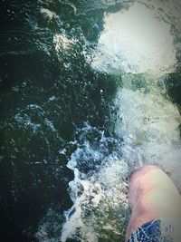 Reflection of trees in water