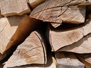 Close-up of logs in forest