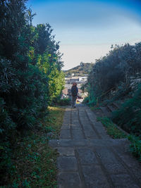 Rear view of people walking on footpath amidst plants