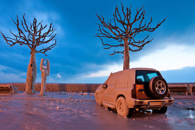 Snow covered vehicle by bare trees