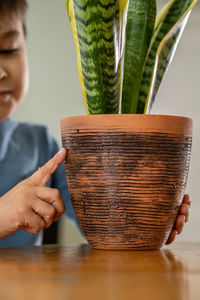 Midsection of woman holding potted plant