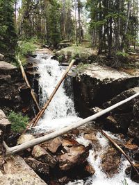 Scenic view of waterfall in forest