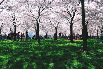 People in park