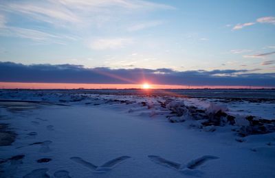 Scenic view of snowcapped landscape at sunset