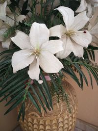 Close-up of white flowers