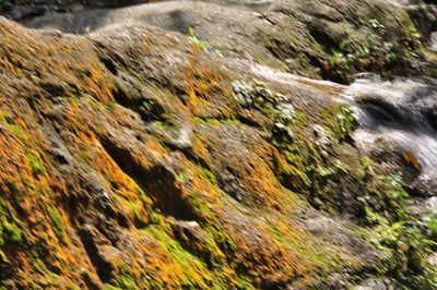 Full frame shot of flowing water