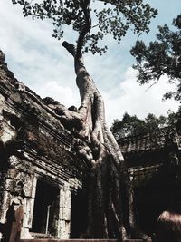 Low angle view of building against sky