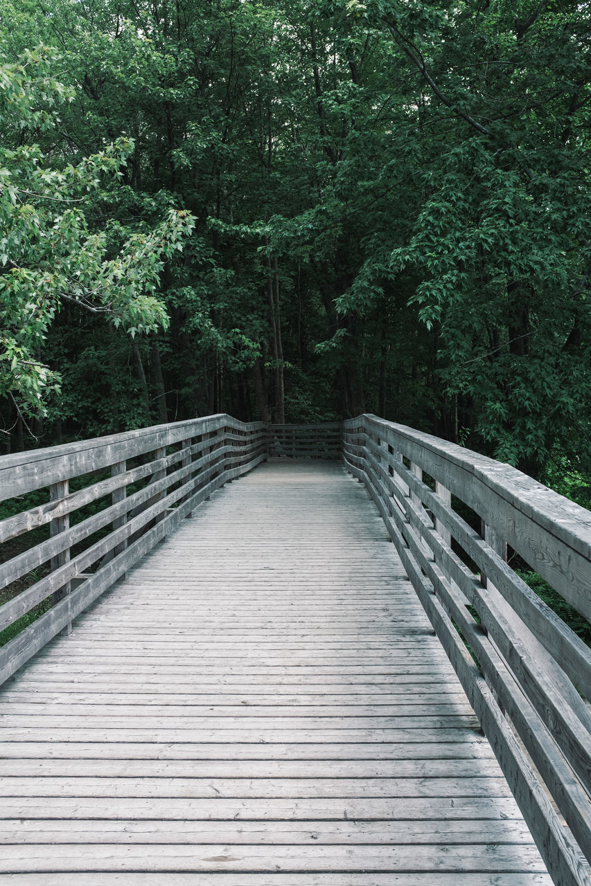 WOODEN FOOTBRIDGE ALONG TREES